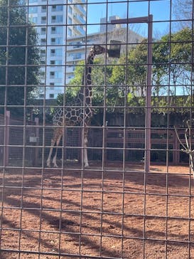 恩賜上野動物園に投稿された画像（2026/1/12）