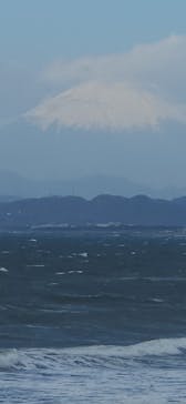 新江ノ島水族館に投稿された画像（2026/1/12）