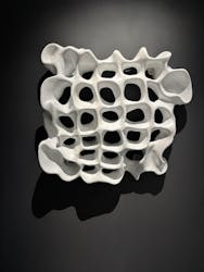 NAKED meets ガウディ展に投稿された画像（2026/1/12）