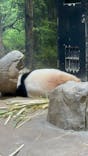 恩賜上野動物園に投稿された画像（2026/1/12）
