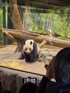 恩賜上野動物園に投稿された画像（2026/1/12）