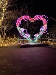 修善寺虹の郷に投稿された画像（2026/1/12）