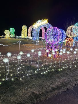 修善寺虹の郷に投稿された画像（2026/1/12）