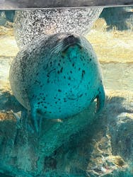 アクアワールド茨城県大洗水族館に投稿された画像（2026/1/12）