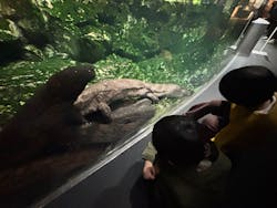 京都水族館に投稿された画像（2026/1/12）