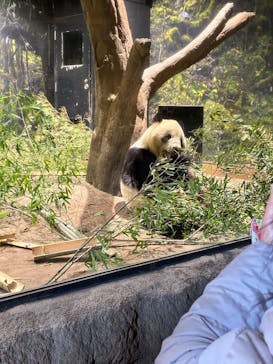 恩賜上野動物園に投稿された画像（2026/1/12）