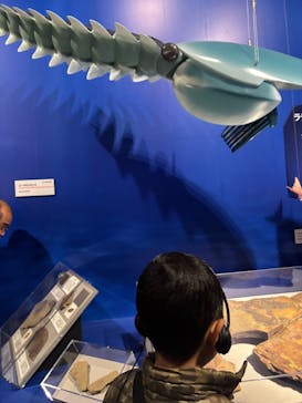 特別展「大絶滅展―生命史のビッグファイブ」に投稿された画像（2026/1/12）