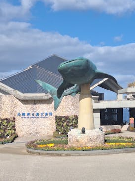 沖縄美ら海水族館に投稿された画像（2026/1/12）