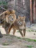 天王寺動物園に投稿された画像（2026/1/12）