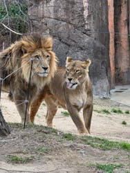 天王寺動物園に投稿された画像（2026/1/12）