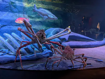 竹島水族館に投稿された画像（2026/1/12）