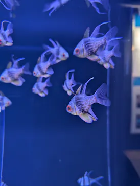 竹島水族館に投稿された画像（2026/1/12）