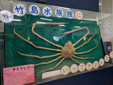 竹島水族館に投稿された画像（2026/1/12）