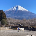 まかいの牧場に投稿された画像（2026/1/12）