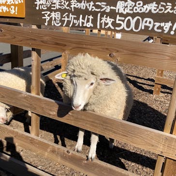 まかいの牧場に投稿された画像（2026/1/12）