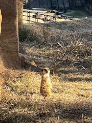 千葉市動物公園に投稿された画像（2026/1/12）