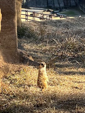 千葉市動物公園に投稿された画像（2026/1/12）