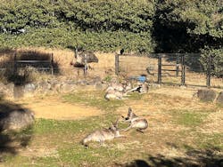 千葉市動物公園に投稿された画像（2026/1/12）