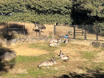 千葉市動物公園に投稿された画像（2026/1/12）