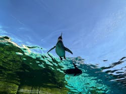 天王寺動物園に投稿された画像（2026/1/12）