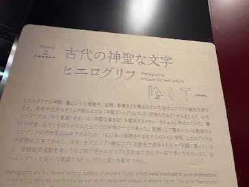 MYSTERY OF TUTANKHAMEN 体感型古代エジプト展に投稿された画像（2026/1/12）