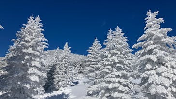 ピラタス蓼科スノーリゾートに投稿された画像（2026/1/12）