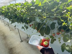 ＠FARMに投稿された画像（2026/1/12）