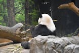 恩賜上野動物園に投稿された画像（2026/1/12）