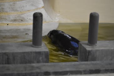 恩賜上野動物園に投稿された画像（2026/1/12）