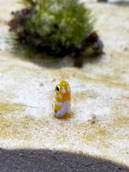 京都水族館に投稿された画像（2026/1/12）