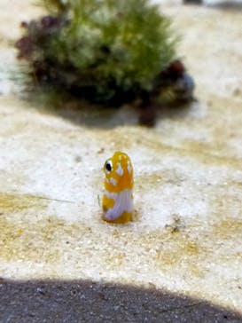 京都水族館に投稿された画像（2026/1/12）