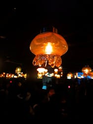 京都水族館に投稿された画像（2026/1/12）