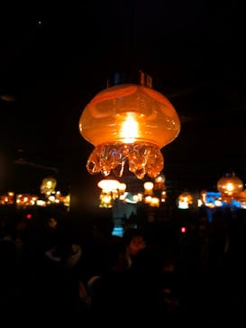 京都水族館に投稿された画像（2026/1/12）