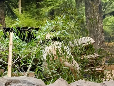 恩賜上野動物園に投稿された画像（2026/1/12）