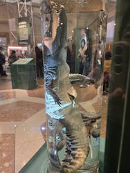 国立科学博物館に投稿された画像（2026/1/12）