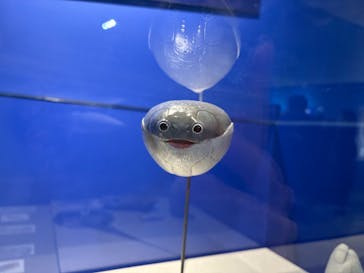 特別展「大絶滅展―生命史のビッグファイブ」に投稿された画像（2026/1/12）