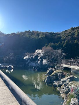 勝尾寺に投稿された画像（2026/1/12）