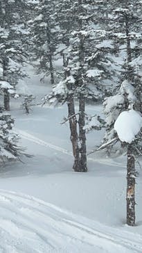 かぐらスキー場に投稿された画像（2026/1/12）