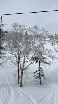 かぐらスキー場に投稿された画像（2026/1/12）