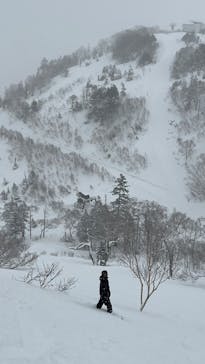 かぐらスキー場に投稿された画像（2026/1/12）