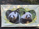 恩賜上野動物園に投稿された画像（2026/1/12）