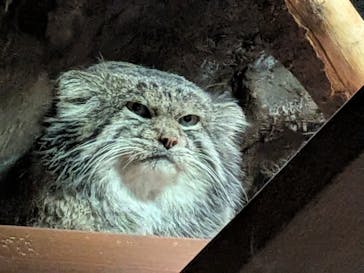 恩賜上野動物園に投稿された画像（2026/1/12）