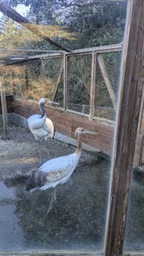 体感型動物園iZooに投稿された画像（2026/1/12）