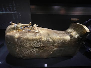 MYSTERY OF TUTANKHAMEN 体感型古代エジプト展に投稿された画像（2026/1/12）