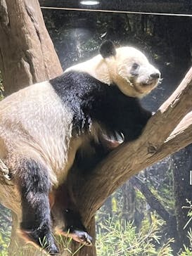 恩賜上野動物園に投稿された画像（2026/1/12）