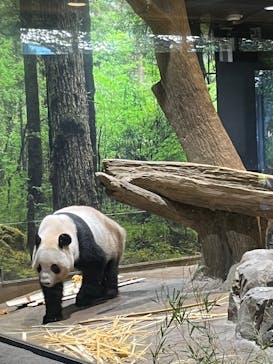 恩賜上野動物園に投稿された画像（2026/1/12）
