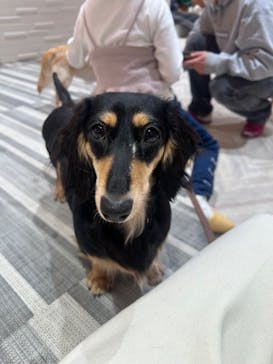 いぬカフェRio 池袋店に投稿された画像（2026/1/12）