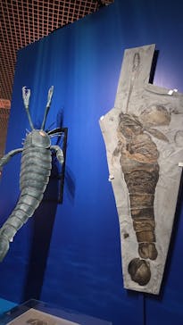 特別展「大絶滅展―生命史のビッグファイブ」に投稿された画像（2026/1/12）