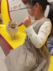 いぬカフェRio 富士見店に投稿された画像（2026/1/12）