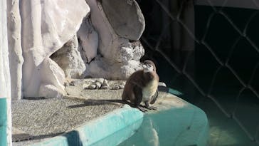 恩賜上野動物園に投稿された画像（2026/1/12）